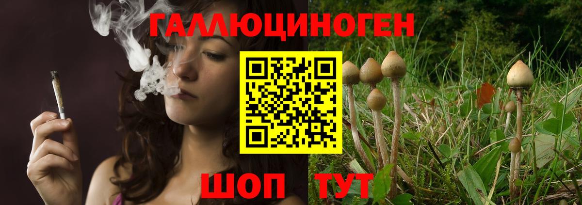 Галлюциногенные грибы Cubensis  Вход с VPN  Электросталь 